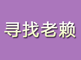 金塔寻找老赖